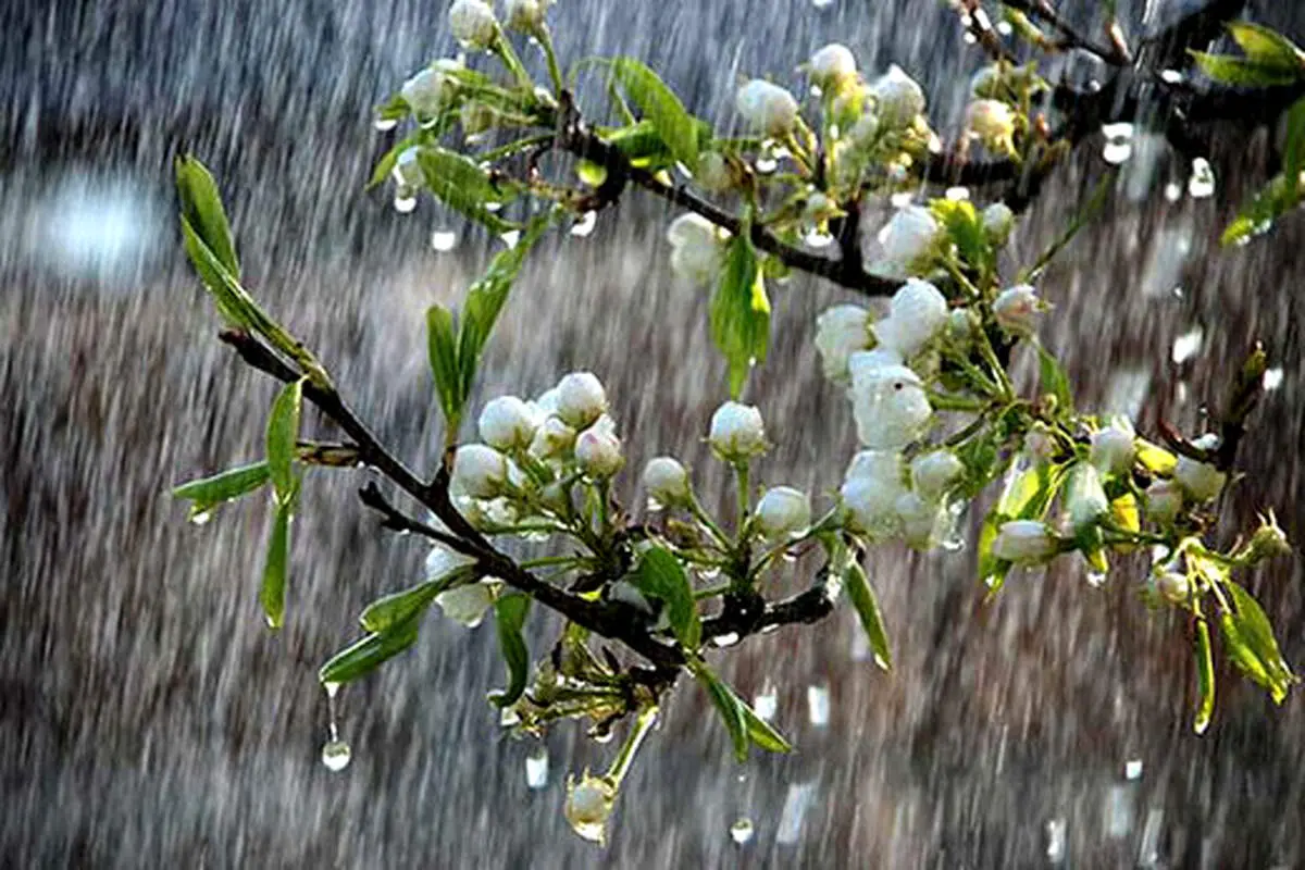 بارش باران شدید فردا پنج شنبه ۱۵ خرداد در این مناطق/ هشدار تگرگ