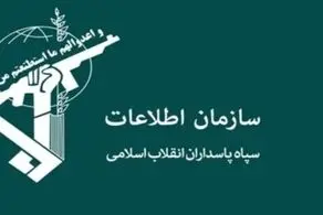 شکارچی سپاه پاسداران را بشناسید| پهپادهای دشمن در امان نیستند + ببینید 