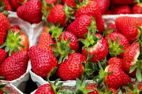 کاهش وزن با این 5 میوه تابستانی!