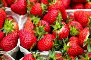 کاهش وزن با این 5 میوه تابستانی!