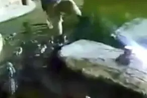 سقوط هولناک مرد جوان داخل استخر تمساح ها! + عکس
