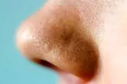 با این ادویه ببینی خود را در 10 روز کوچک کنید!

