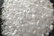 کیش و مات کردن شوهر با سوسک کش!