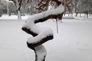 هوای فوق سرد اسکاندیناوی با برف و کولاک از راه رسید/ فیلم