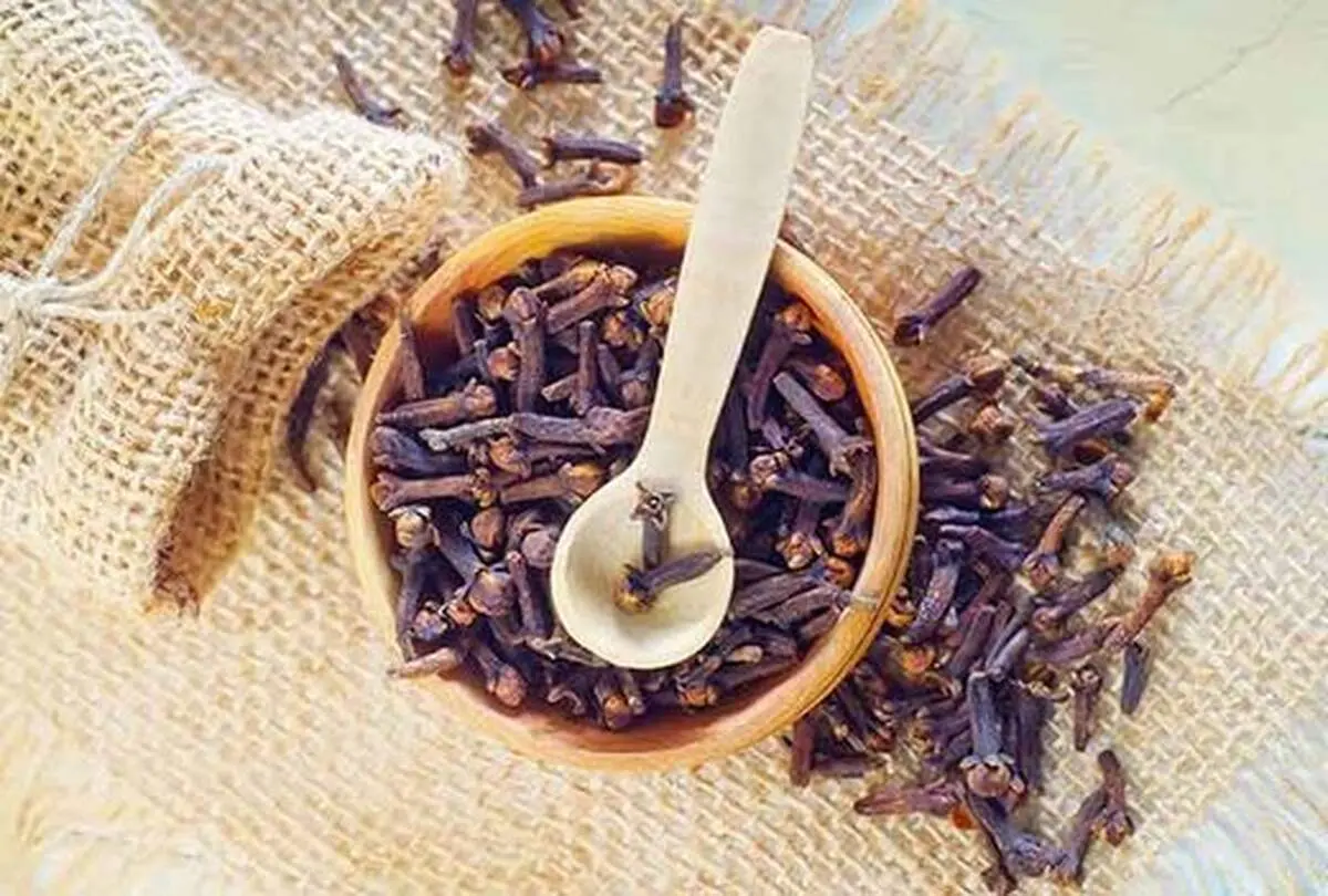 میخک بخورید تا کرونا نگیرید