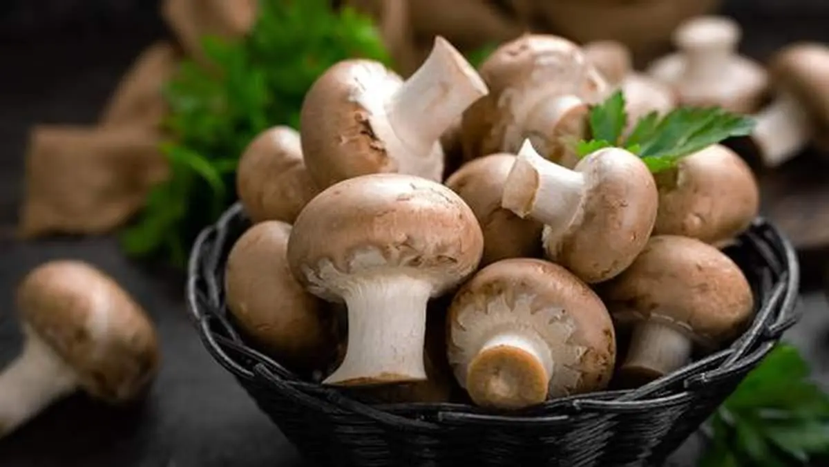 دانستنیهای جالب درباره قارچ که نمیدانید