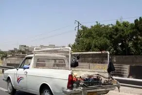 خلاقیت خنده دار در نوشته پشت این وانت حماسه ساز شد/ عکس