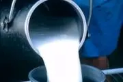 جزئیات و زمان افزایش نرخ شیر اعلام شد