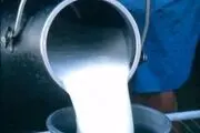 جزئیات و زمان افزایش نرخ شیر اعلام شد