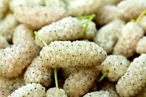این میوه برطرف کننده مشکلات کبد و طحال است