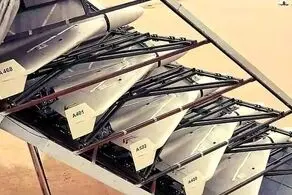 پرنده پر سر و صدای ایران اروپا و آمریکا را آچمز کرد+ببینید 