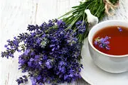 آیا مصرف اسطوخودوس کرونا را از ما دور می کند؟
