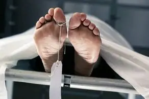 این مرد برای رسیدن به عشق جدیدش با پدربزرگش نقشه قتل زن و بچه اش  را کشید!/ عکس زن بیچاره