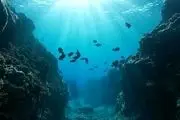 غول چینی وارد آب‌ها شد/عکس