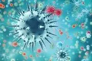 ادعای تازه 2 دانشمند آمریکایی درباره ویروس کرونا