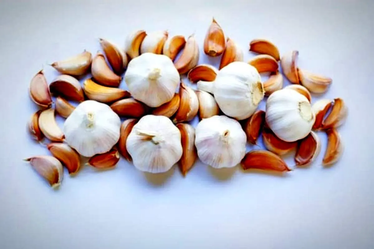 برای سلامتی سیر خام بهتر است یا سیر پخته؟