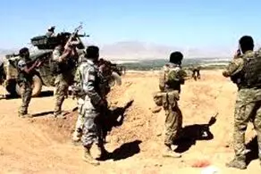 ۳۱ عضو گروه طالبان کشته شدند
