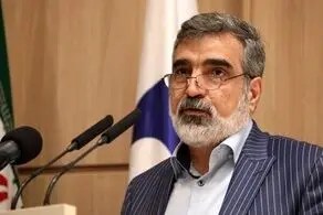 واکنش سخنگوی سازمان انرژی اتمی به تهدید استفاده از مکانیسم ماشه
