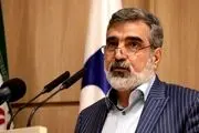 واکنش سخنگوی سازمان انرژی اتمی به تهدید استفاده از مکانیسم ماشه