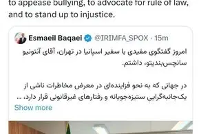 بقائی: تا الان درمورد دور بعدی مذاکرات برنامه‌ای نداریم و تصمیمی اتخاذ نشده است 