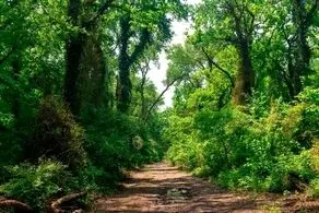روستایی بیخ گوش تهران که ورود زنان به آن ممنوع است!