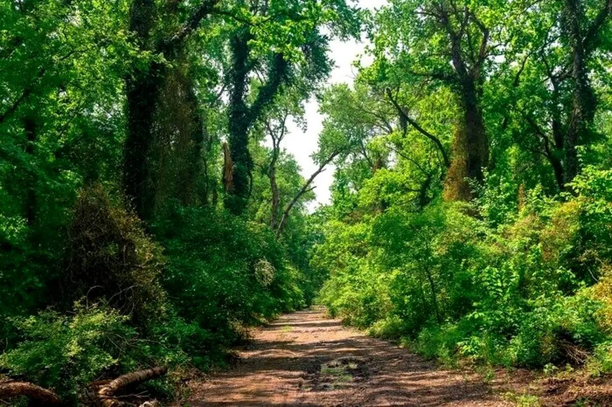 روستایی بیخ گوش تهران که ورود زنان به آن ممنوع است!