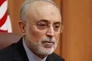 واکنش علی اکبر صالحی به توافق ایران و آژانس 