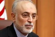 واکنش علی اکبر صالحی به توافق ایران و آژانس 