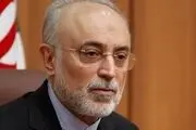 تسلیت علی‌ اکبر صالحی برای درگذشت آیت‌الله سیدهادی سیستانی