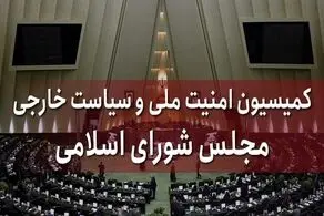  ۸۰ درصد از زمان نمایندگان مجلس به مسائل حاشیه‌ای ختم می‌شود 