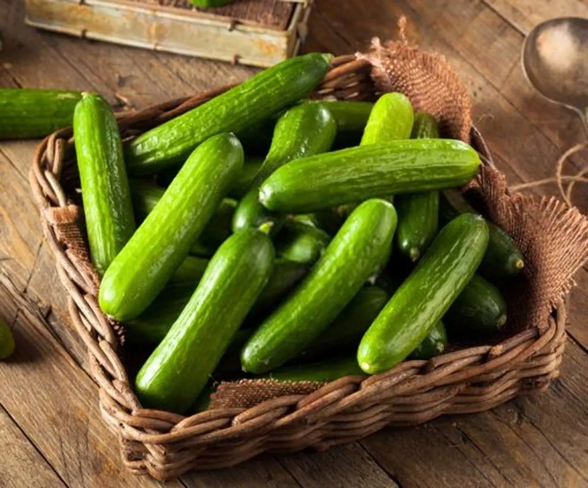 خیار را با این میوه بخورید باعث آلزایمر می شود!