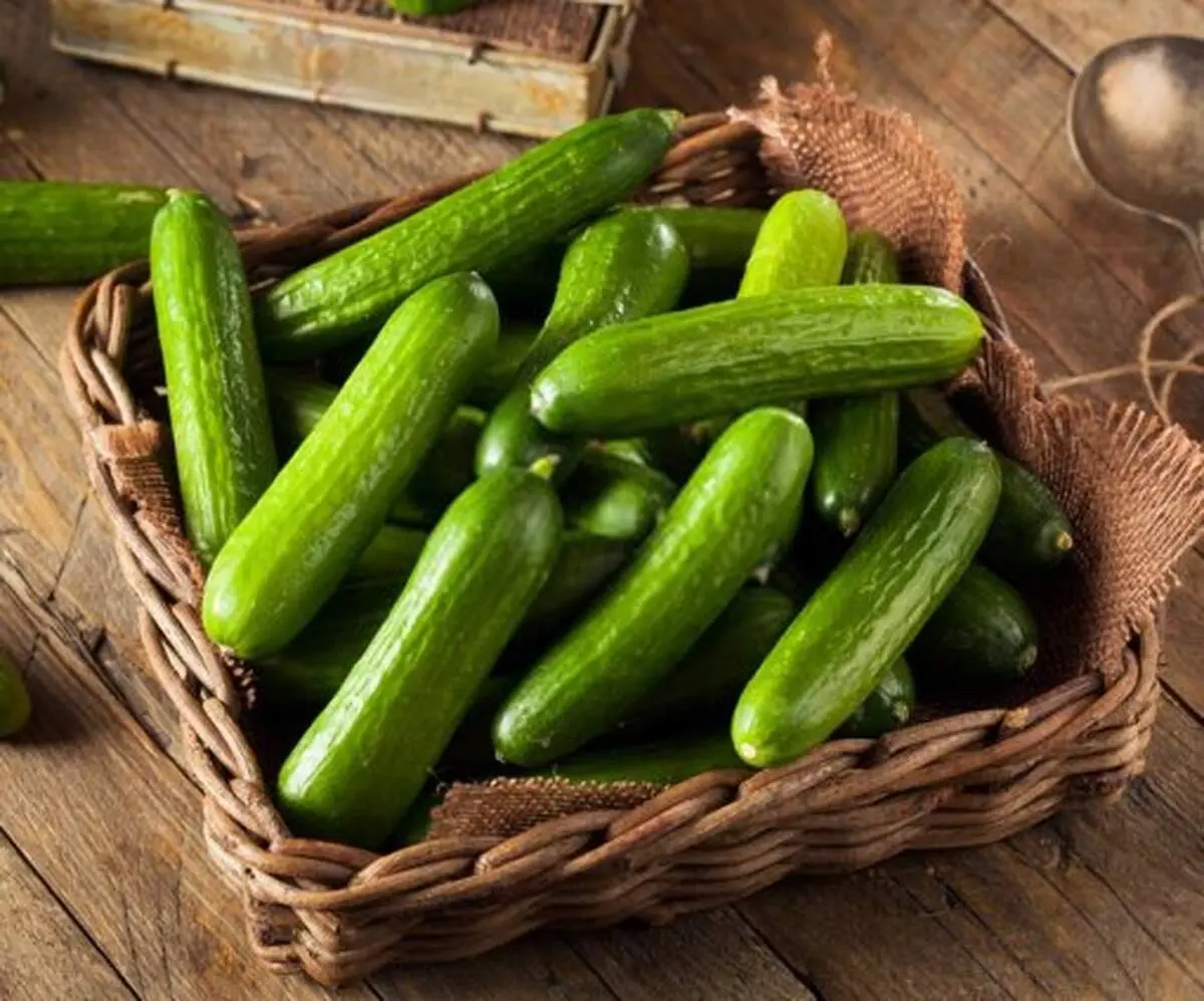 خوردن خیار برای این افراد ممنوع!