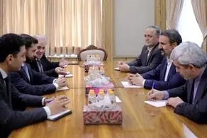تاکید معاون سیاسی دفتر رئیس جمهور بر اهمیت سازوکارهای همکاری منطقه‌ای و همگرایی کشورهای همسایه