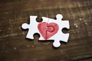 تصویری تماشایی از رقص عاشقانه دو پرنده در آسمان