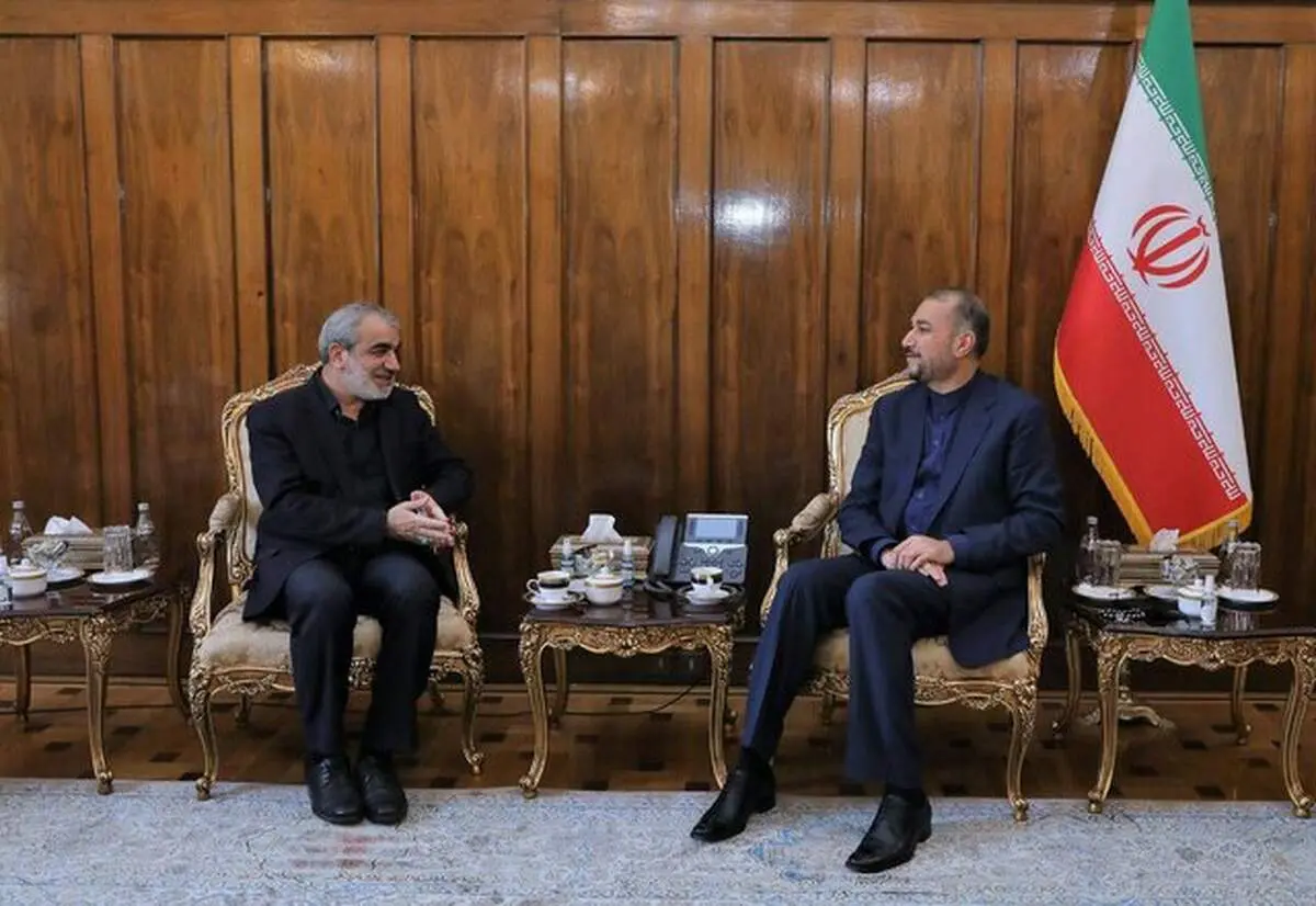 امیرعبداللهیان برای عباسعلی کدخدایی حکم جدید زد