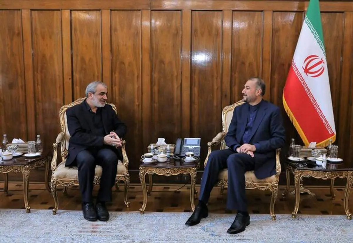 امیرعبداللهیان برای عباسعلی کدخدایی حکم جدید زد