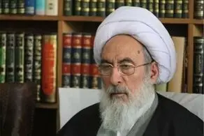 عضو مجلس خبرگان:  محاربی که قتل نکرده هم می‌تواند حکم اعدام بگیرد/ مهم کشیدن سلاح است