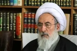 عضو مجلس خبرگان:  محاربی که قتل نکرده هم می‌تواند حکم اعدام بگیرد/ مهم کشیدن سلاح است