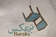 این زن جنجالی همه چیز را سر و ته می‌بیند + عکس!