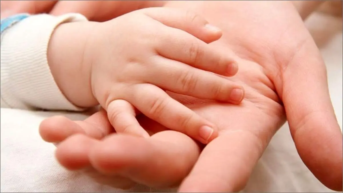 مجلس تصویب کرد/ اختصاص «یک قطعه زمین» به این خانواده‌ها