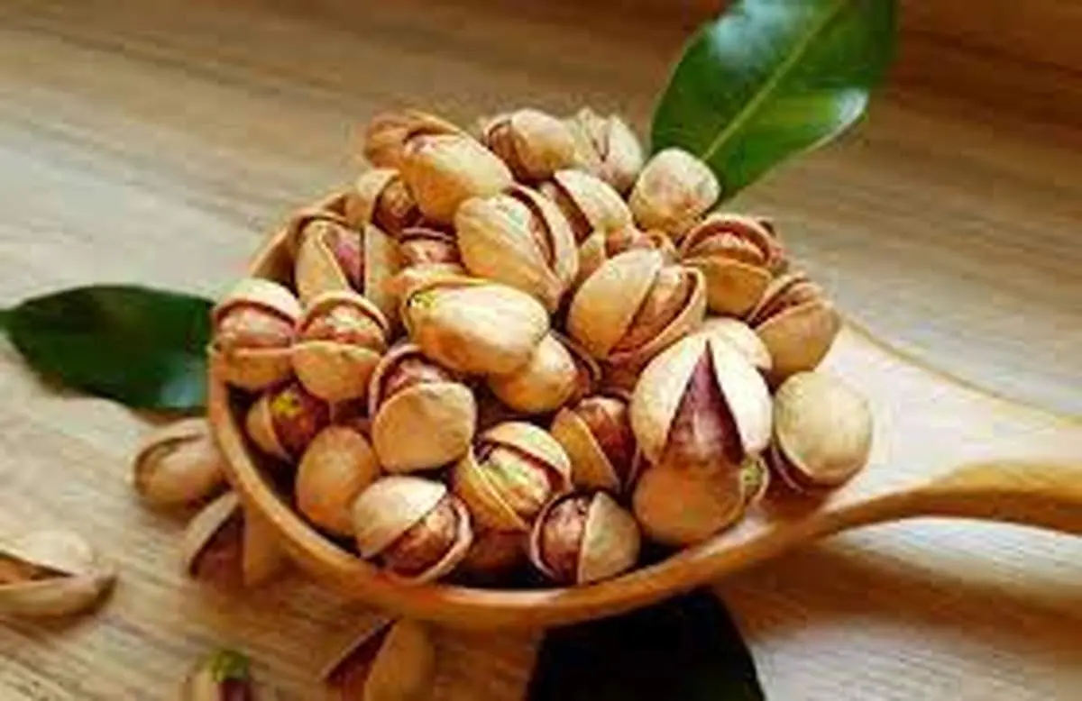 با خواص شگفت انگیز پسته بیشتر آشنا شوید