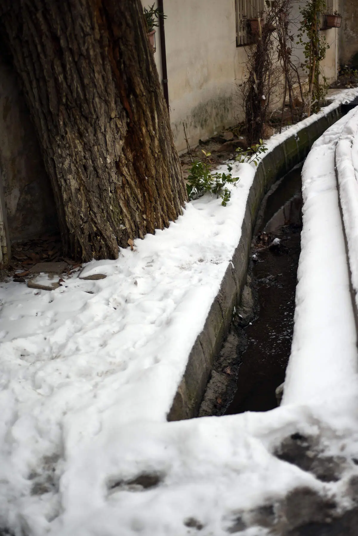 اعلام زمان بارش برف در تهران