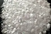 تار و مار کردن شوهر با سوسک کش!