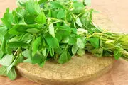 خواص شنبلیله برای کاهش چربی‌خون