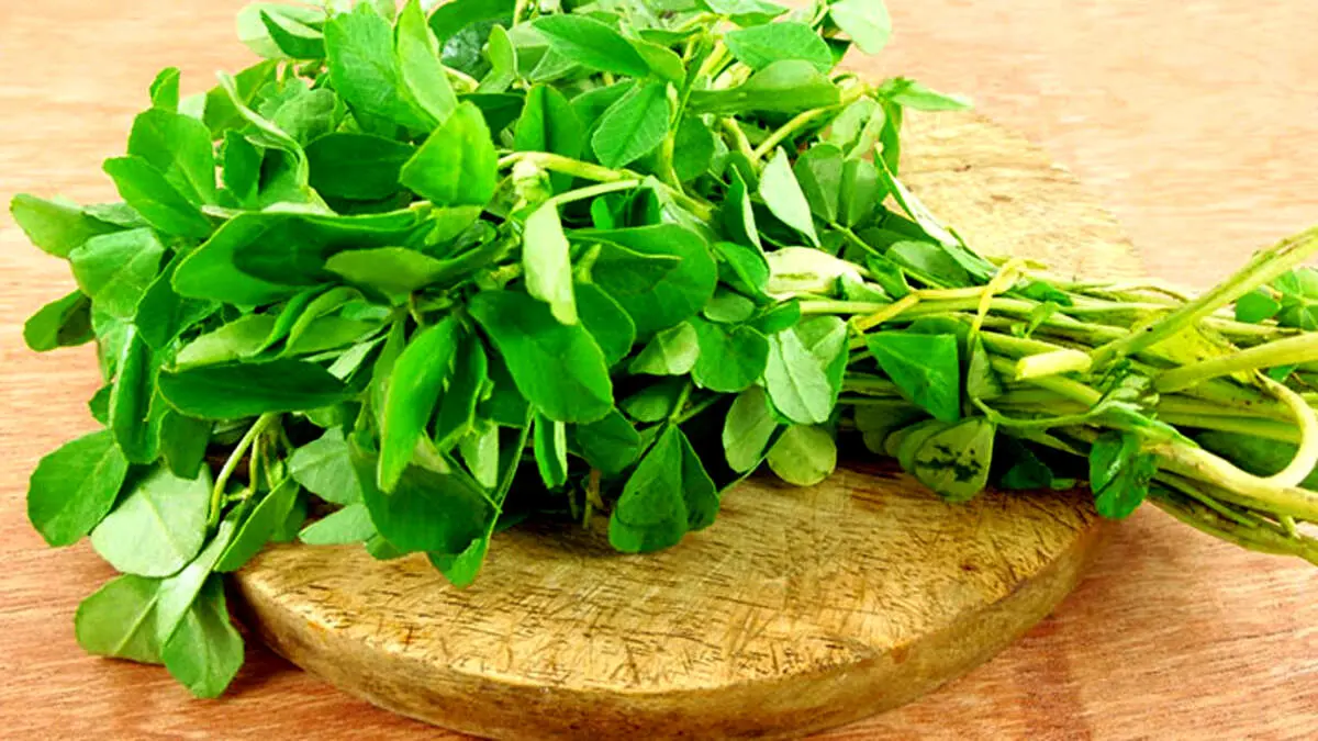 خواص شنبلیله برای کاهش چربی‌خون