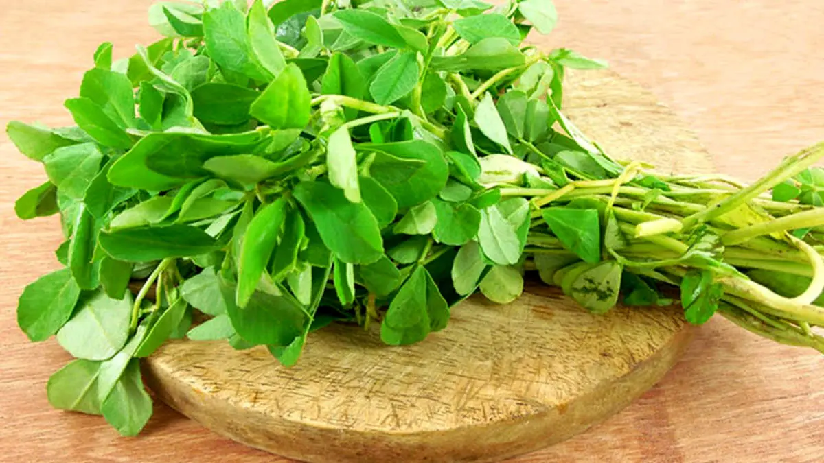 خواص شنبلیله برای کاهش چربیخون
