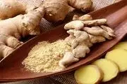 معجون ترکیبی سیر و زنجبیل برای تقویت سلامتی