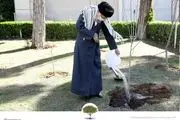 ویران کردن بخشی از جنگلها برای ساخت و ساز جز در موارد اضطراری قطعاً به ضرر ملت است/ در اسلام، شکار فقط در صورت نیاز به تغذیه مجاز است