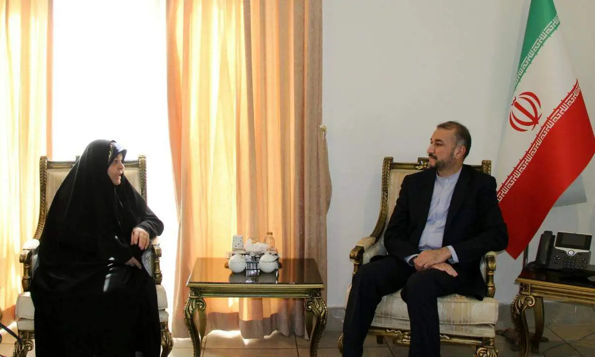 امیرعبداللهیان با فروزنده ودیعتی دیدار کرد
