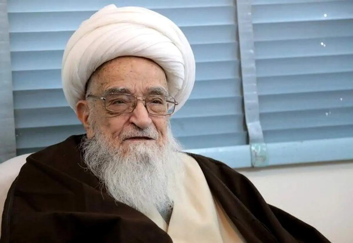 پیکر آیت الله صافی وارد نجف اشرف شد 